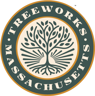 Treeworks Massachusetts