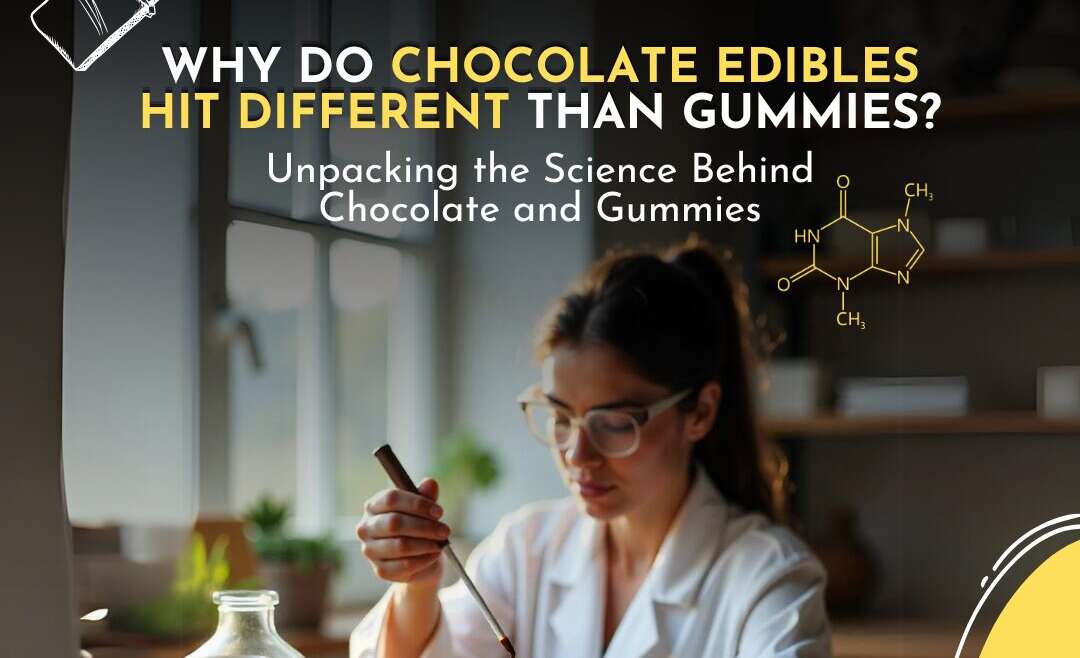 Why Do Chocolate Edibles Hit Different Than Gummies?