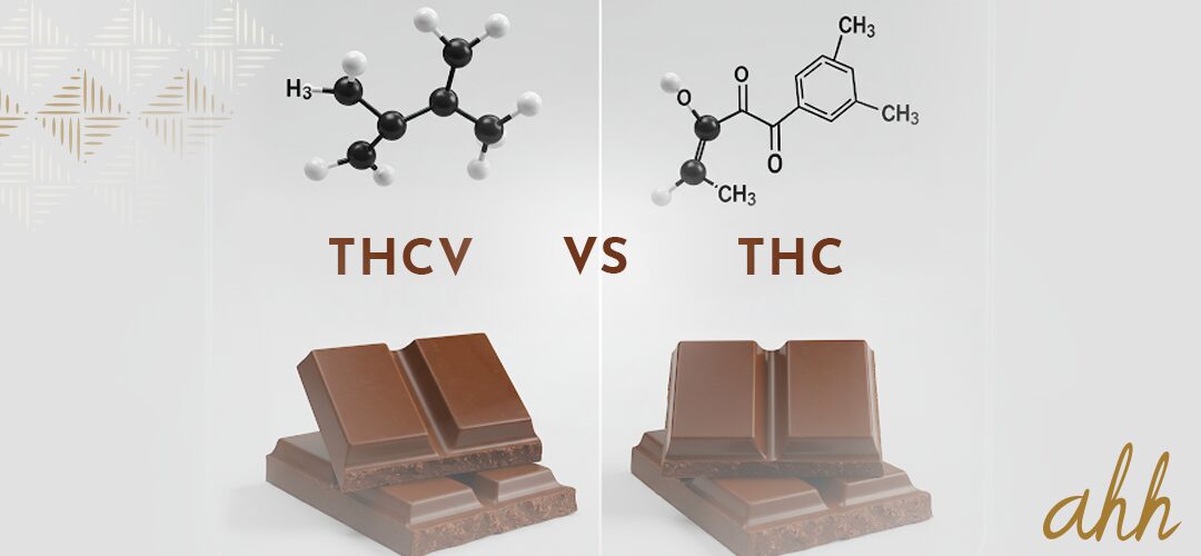 THCV vs THC in Cannabis Chocolate: Exploring the Key Differences