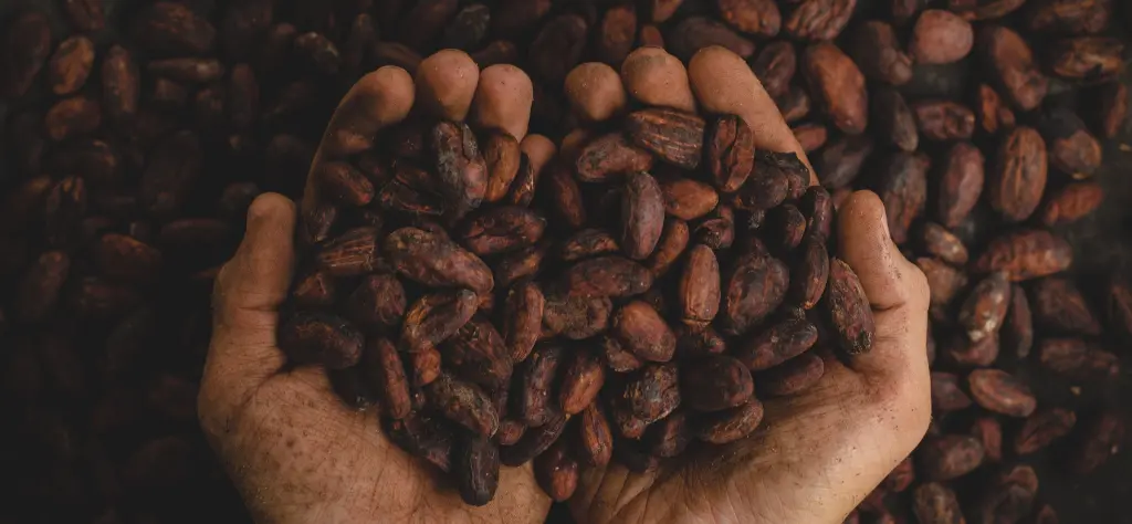 Ahh Moments Pairing Guide:  Cannabis Chocolate for Experience