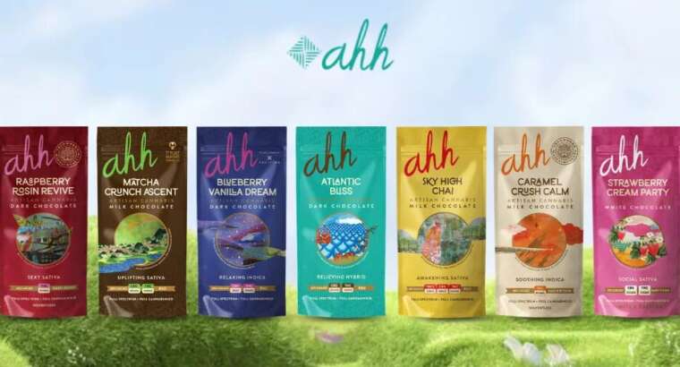 Delta 9 THC Chocolate Bar: Discover the Artisan Cannabis Experience That Actually Delivers