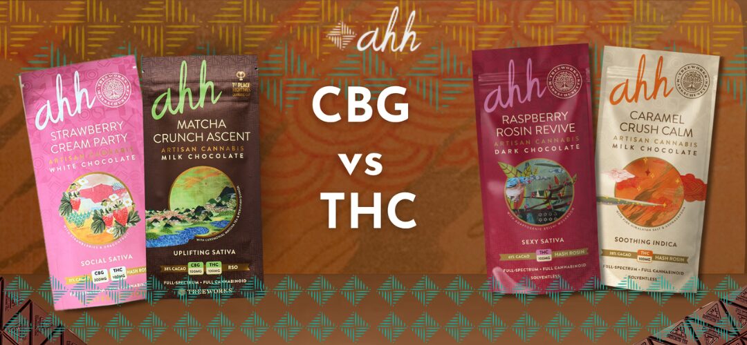 CBG vs THC: What’s the Difference and Which One Should You Choose?