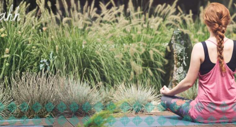Roots & Rituals: Building a Plant-Powered Wellness Routine