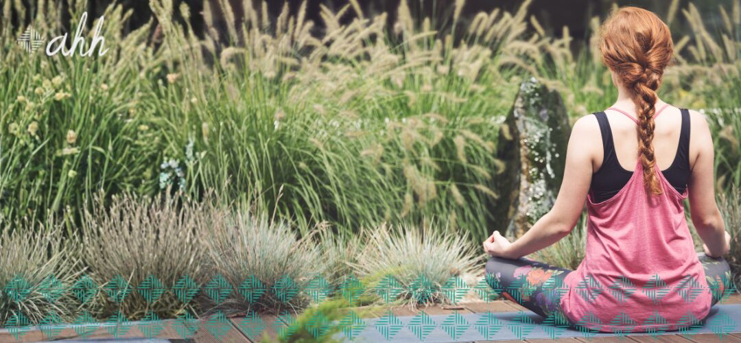 Roots & Rituals: Building a Plant-Powered Wellness Routine