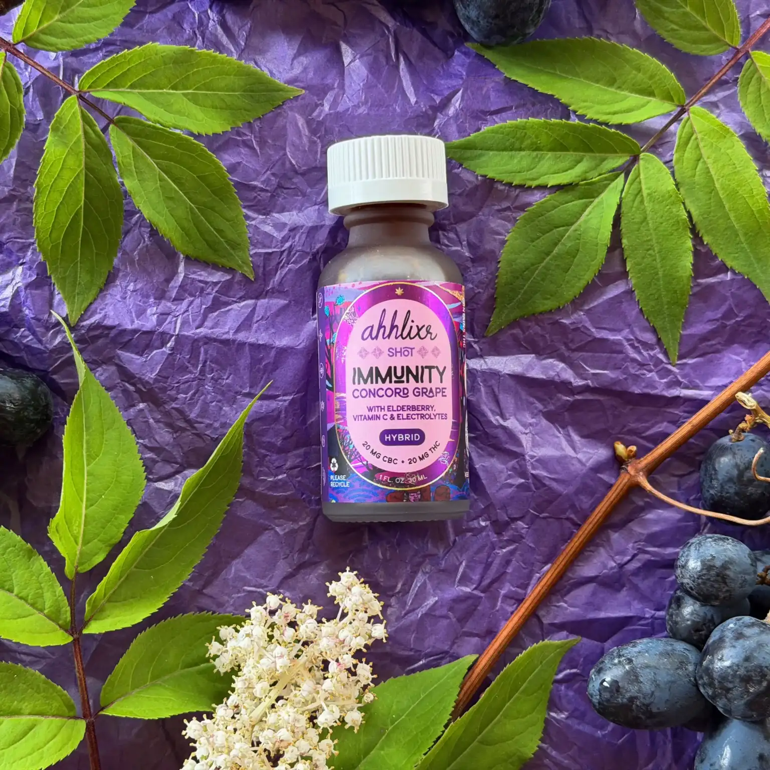 Immunity & Balance Shot